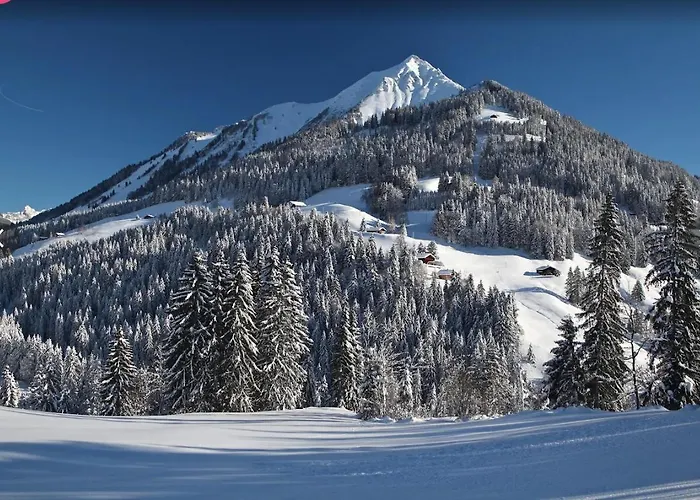 酒店 L'auberge De La Combal La Comballaz