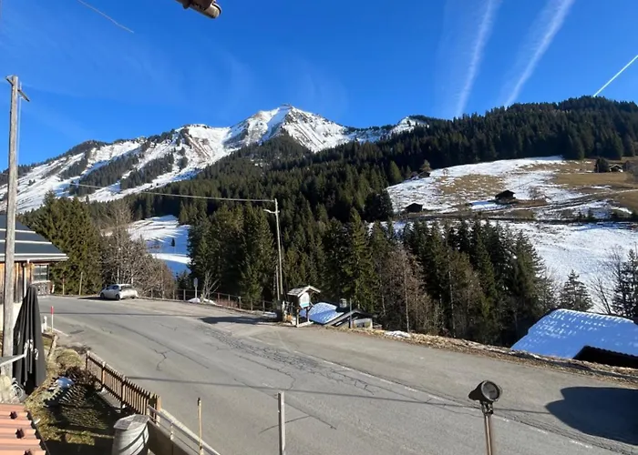 L'auberge De La Combal 酒店 *