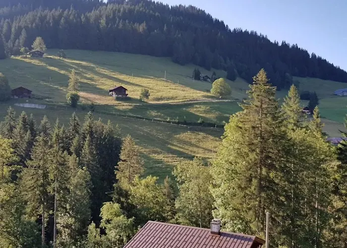 L'auberge De La Combal Hotel *
